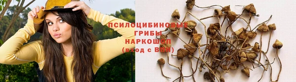 метамфетамин Алзамай
