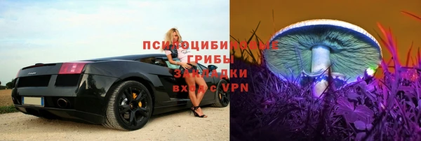 ПСИЛОЦИБИНОВЫЕ ГРИБЫ Алексеевка