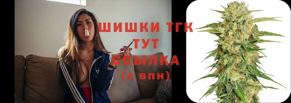 ПСИЛОЦИБИНОВЫЕ ГРИБЫ Алексеевка