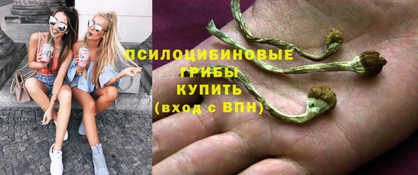 твердый Алексин