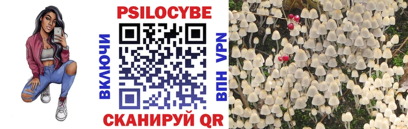 Псилоцибиновые грибы ЛСД где найти наркотики Макушино